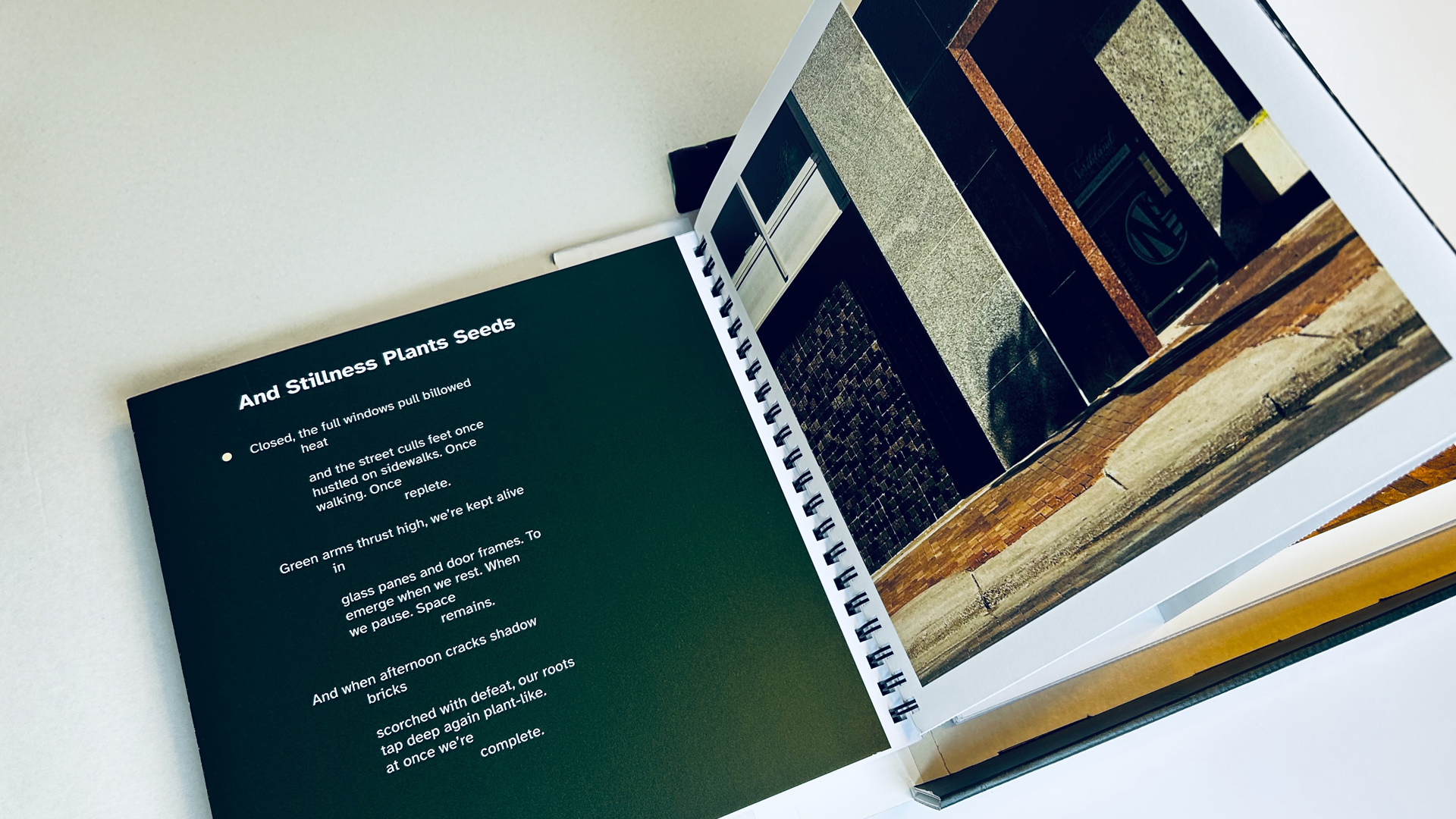 Figure 4. Each spread pairs a poem with a photograph and unfolds to reveal two panels containing Braille. © John O’Neill and Deanna Geneva Lorianni of Color to Sound, LLC