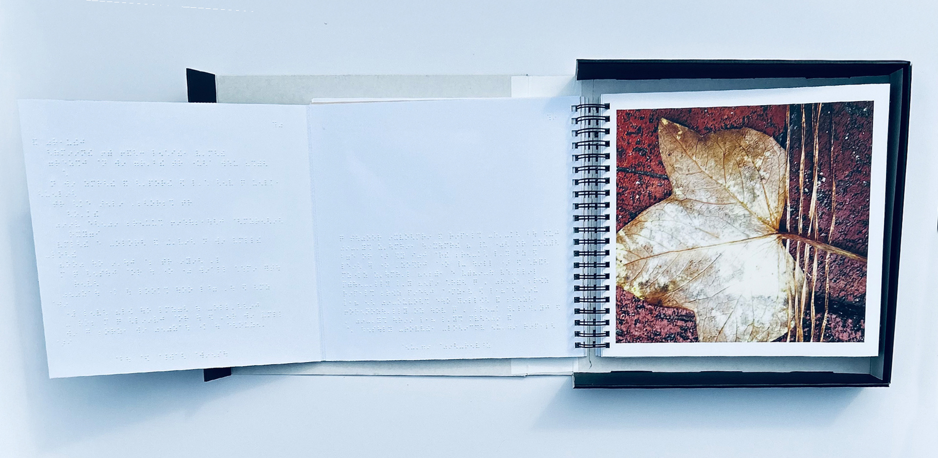 Figure 5. When the foldout is fully open, the poem accompanying each image is formatted in Braille on the far-left panel, followed by the image description in the middle panel. © John O’Neill and Deanna Geneva Lorianni of Color to Sound, LLC