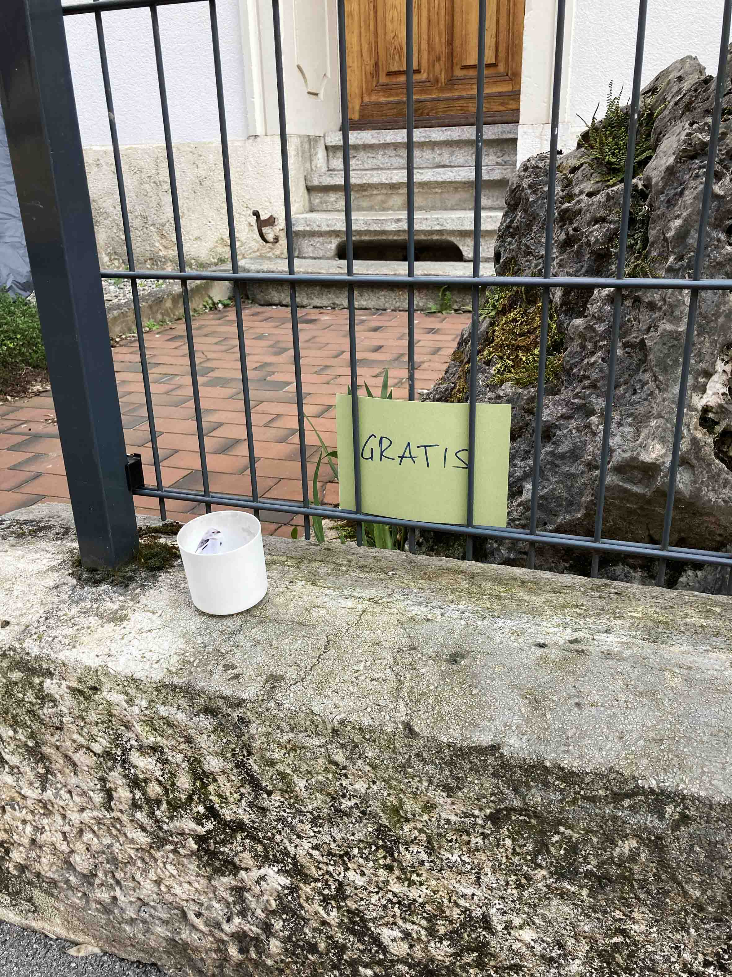 Figure 3. Occupying a liminal space. (Photo: Patrick Düblin)