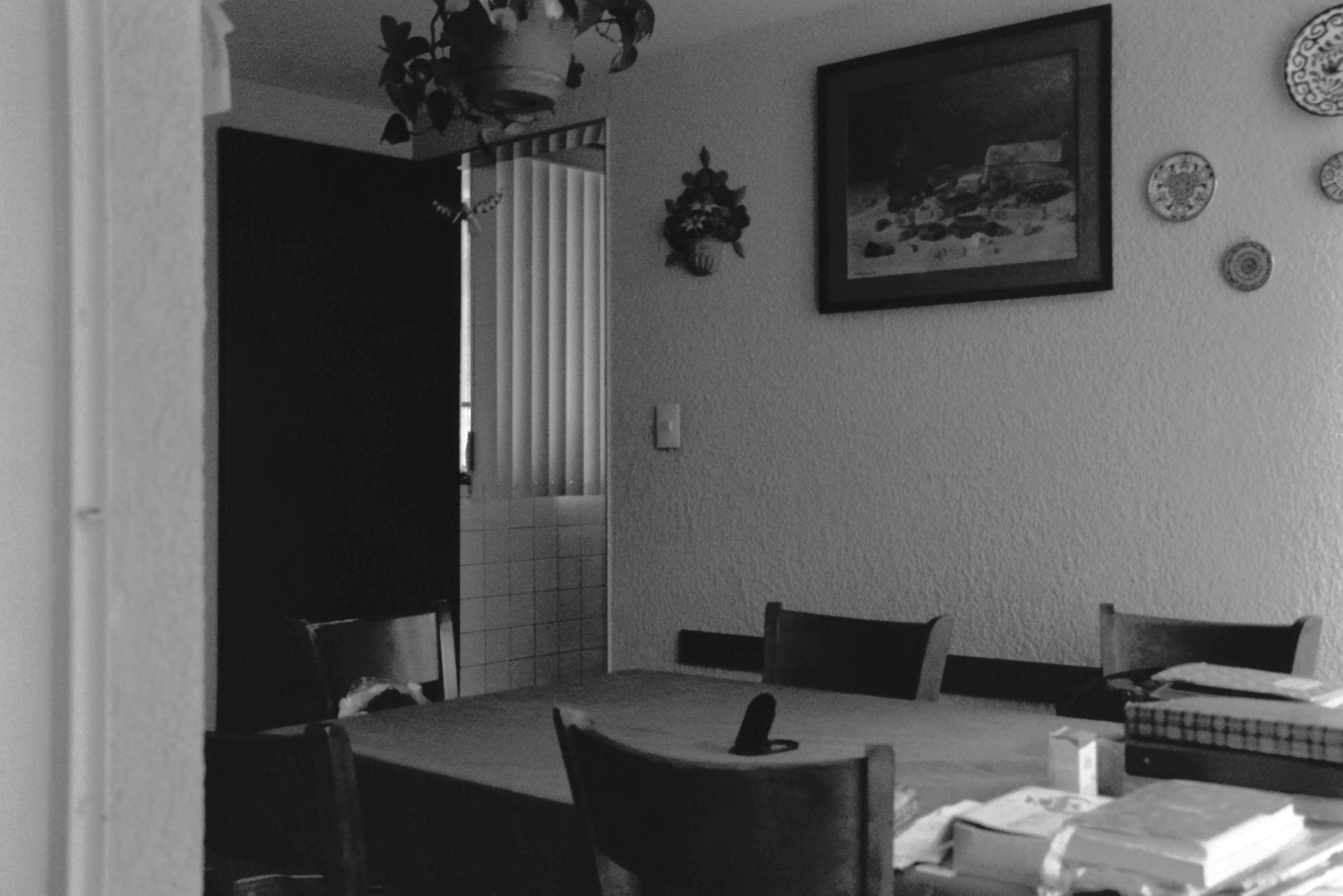 Figure 3. Luisa’s multipurpose room, with the door. Photography: the author, 2025.